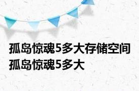 孤岛惊魂5多大存储空间 孤岛惊魂5多大