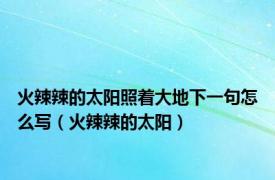 火辣辣的太阳照着大地下一句怎么写（火辣辣的太阳）