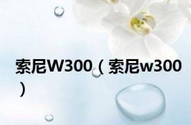 索尼W300（索尼w300）