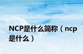 NCP是什么简称（ncp是什么）