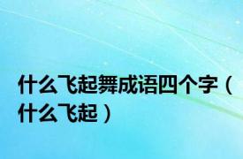 什么飞起舞成语四个字（什么飞起）