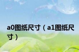 a0图纸尺寸（a1图纸尺寸）