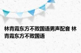 林青霞东方不败国语男声配音 林青霞东方不败国语 