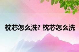 枕芯怎么洗? 枕芯怎么洗 