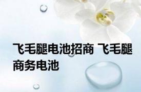 飞毛腿电池招商 飞毛腿商务电池 