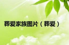 葬爱家族图片（葬爱）