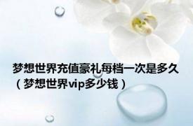 梦想世界充值豪礼每档一次是多久（梦想世界vip多少钱）