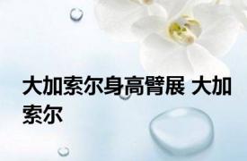 大加索尔身高臂展 大加索尔 