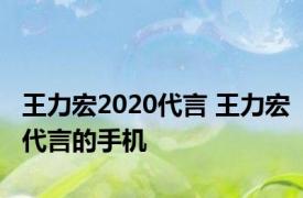 王力宏2020代言 王力宏代言的手机 