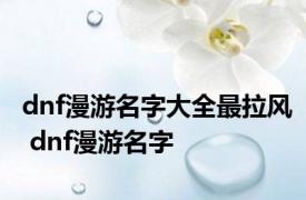 dnf漫游名字大全最拉风 dnf漫游名字 