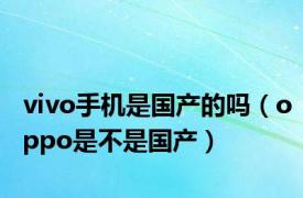 vivo手机是国产的吗（oppo是不是国产）