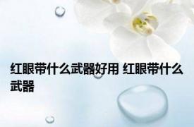 红眼带什么武器好用 红眼带什么武器 