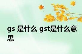 gs 是什么 gst是什么意思 