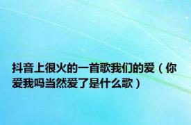 抖音上很火的一首歌我们的爱（你爱我吗当然爱了是什么歌）