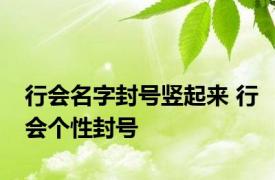 行会名字封号竖起来 行会个性封号 