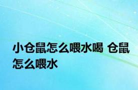 小仓鼠怎么喂水喝 仓鼠怎么喂水 