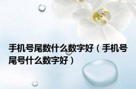 手机号尾数什么数字好（手机号尾号什么数字好）