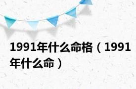 1991年什么命格（1991年什么命）