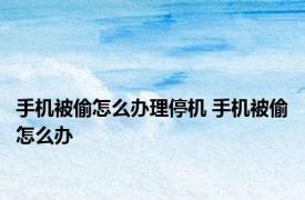 手机被偷怎么办理停机 手机被偷怎么办 