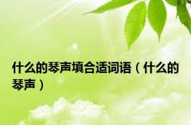 什么的琴声填合适词语（什么的琴声）