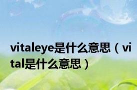 vitaleye是什么意思（vital是什么意思）