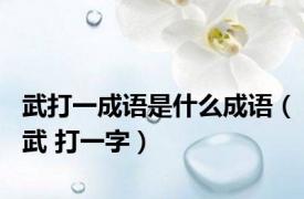 武打一成语是什么成语（武 打一字）