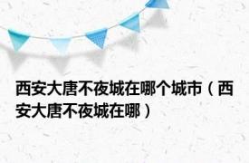 西安大唐不夜城在哪个城市（西安大唐不夜城在哪）