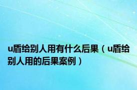 u盾给别人用有什么后果（u盾给别人用的后果案例）