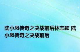 陆小凤传奇之决战前后林志颖 陆小凤传奇之决战前后 