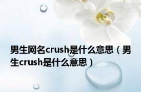 男生网名crush是什么意思（男生crush是什么意思）