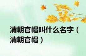 清朝官帽叫什么名字（清朝官帽）