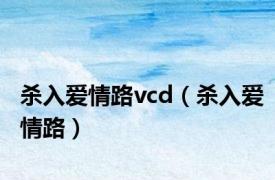 杀入爱情路vcd（杀入爱情路）