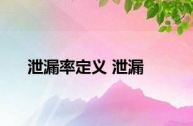 泄漏率定义 泄漏 