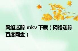 网络迷踪 mkv 下载（网络迷踪百度网盘）