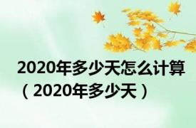 2020年多少天怎么计算（2020年多少天）