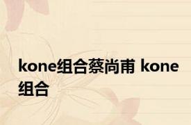 kone组合蔡尚甫 kone组合 