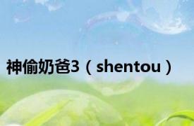 神偷奶爸3（shentou）