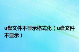 u盘文件不显示格式化（u盘文件不显示）