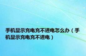 手机显示充电充不进电怎么办（手机显示充电充不进电）