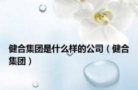 健合集团是什么样的公司（健合集团）