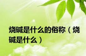 烧碱是什么的俗称（烧碱是什么）