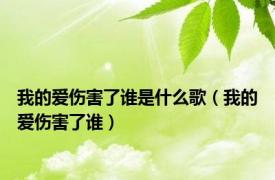 我的爱伤害了谁是什么歌（我的爱伤害了谁）