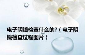 电子阴镜检查什么的?（电子阴镜检查过程图片）