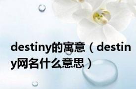 destiny的寓意（destiny网名什么意思）