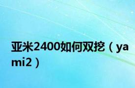 亚米2400如何双挖（yami2）