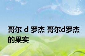 哥尔 d 罗杰 哥尔d罗杰的果实 