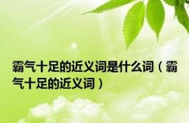 霸气十足的近义词是什么词（霸气十足的近义词）