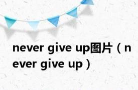 never give up图片（never give up）