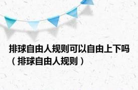 排球自由人规则可以自由上下吗（排球自由人规则）