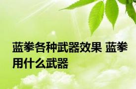 蓝拳各种武器效果 蓝拳用什么武器 